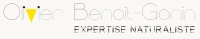 Logo de Olivier BENOIT GONIN