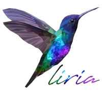 Logo de Liria Assistance