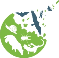Logo de Nature Environnement Consultant